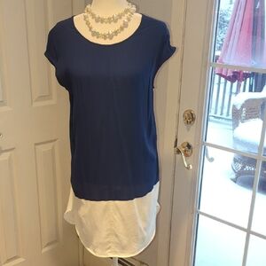Madewell Blue and White Tunic Dress